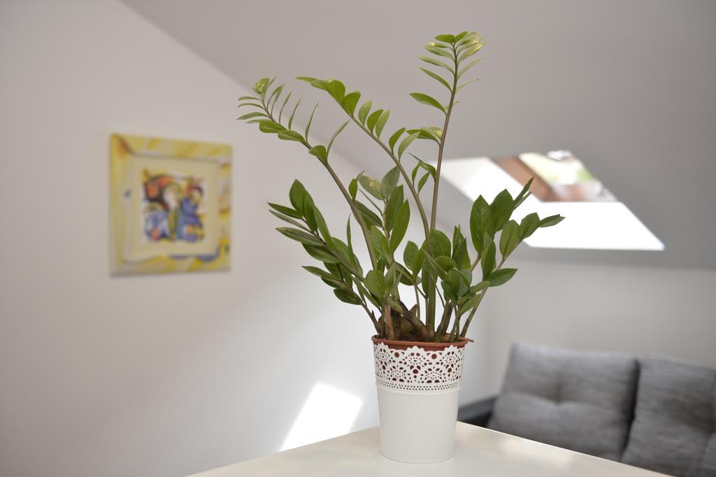 Apartment Damjan Котор Екстериор снимка